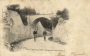 boutervilliers:cpa.boutervilliers.lddg.191.ex03r.png