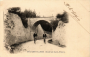 boutervilliers:cpa.boutervilliers.lddg.191.ex04r.png