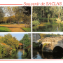 cpa.saclas.ligneau.souvenirde.lajuine4vues.ex01r.png