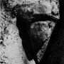 bul.shaeh.1974.1968.planche.08a.png
