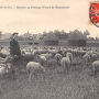 cpa.lisses.nespoulous.moutonsaupaturagefermedebeaurepaire.ex01r.png